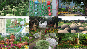 Nong Nooch Tropical Garden 
