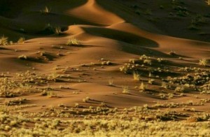 Die Wste Namib