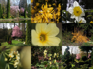 klicke hier, um die Datei herunterzuladen Bilder -Galerie vom 03112015 Blumen