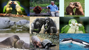 klicke hier, um die Datei herunterzuladen Sie reden schon - Tiere