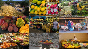 klicke hier, um die Datei herunterzuladen Brasiliens Obst