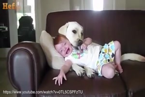 Jedes Kind braucht einen Hund