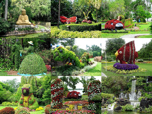 klicke hier, um die Datei herunterzuladen Garden-Orlando