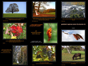 klicke hier, um die Datei herunterzuladen Herbstfarben