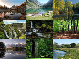 klicke hier, um die Datei herunterzuladen Natur pur - Nr.36