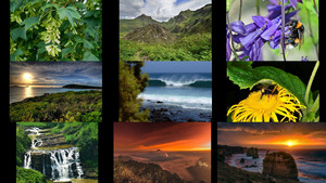 klicke hier, um die Datei herunterzuladen Beautiful Nature 116