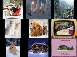 Bilder-Galerie -Winterzeit schne Zeit 1