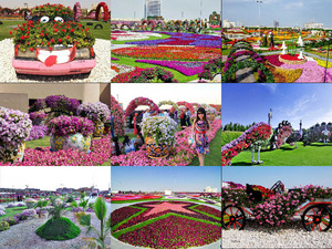 klicke hier, um die Datei herunterzuladen Blumenshow in Dubai