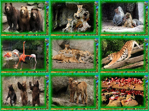 Tierpark-Hagenbeck