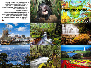 klicke hier, um die Datei herunterzuladen Teufelinsel - Tasmania