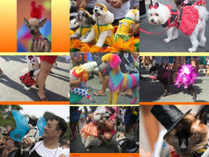 Rio Karneval der Tiere