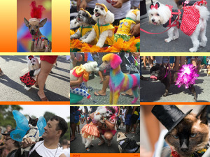 klicke hier, um die Datei herunterzuladen Rio Karneval der Tiere