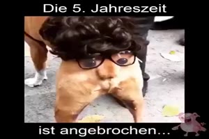Die 5. Jahreszeit ist angebrochen