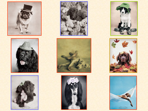klicke hier, um die Datei herunterzuladen Dogs (Rachael Hale)