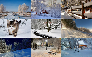 Winter Nature 2 - Judy
