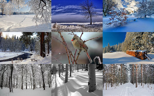 klicke hier, um die Datei herunterzuladen Winter Nature 1