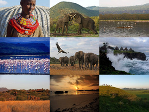klicke hier, um die Datei herunterzuladen 130116 - Kenya Adriana 1