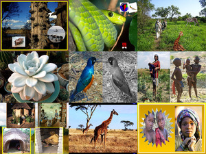 klicke hier, um die Datei herunterzuladen Africa (SF)