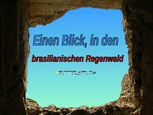 Blick in den Brasilianischen Urwald