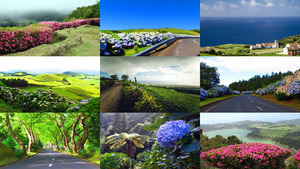 Islas Azores ge