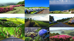 klicke hier, um die Datei herunterzuladen Islas Azores ge