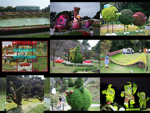 klicke hier, um die Datei herunterzuladen Javier=Mosaic Floral-ge
