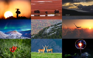 klicke hier, um die Datei herunterzuladen Erstaunliche Fotos der Natur