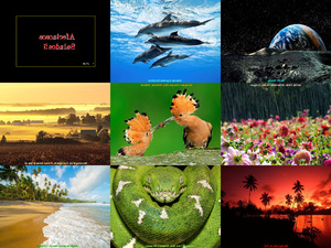 klicke hier, um die Datei herunterzuladen Beauty Pictures