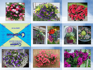 klicke hier, um die Datei herunterzuladen Colgantes de flores ge