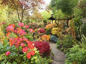 klicke hier, um die Datei herunterzuladen Jardines-con-encanto ge