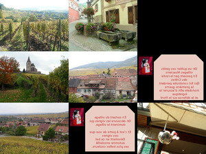 klicke hier, um die Datei herunterzuladen ALSACE NO 2 ge