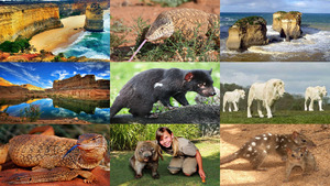 klicke hier, um die Datei herunterzuladen Australiens Naturwunder.E.