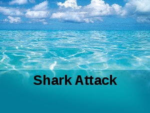 SharkAttackc n 