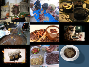 klicke hier, um die Datei herunterzuladen Coffee