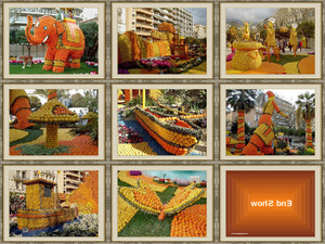 Citrus Festival-Menton- Ceriel