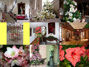 klicke hier, um die Datei herunterzuladen Blumen im Schloss