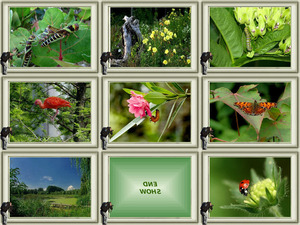 klicke hier, um die Datei herunterzuladen Flora und Fauna