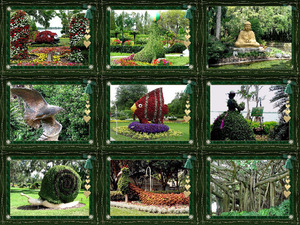 klicke hier, um die Datei herunterzuladen Cypress garden Florida