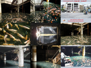 klicke hier, um die Datei herunterzuladen Bankok Einkaufszentrum Riesenaquarium