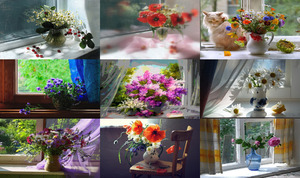 klicke hier, um die Datei herunterzuladen Still Life On The Window
