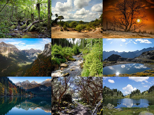 Natur pur - Nr.41
