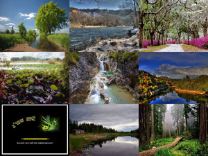 klicke hier, um die Datei herunterzuladen Natur pur - Nr.43