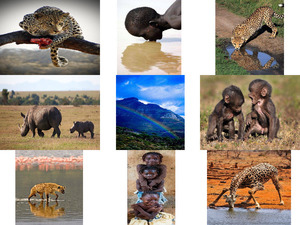 klicke hier, um die Datei herunterzuladen Afrika