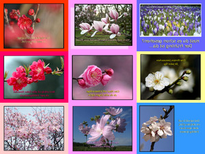 klicke hier, um die Datei herunterzuladen Frühling 2