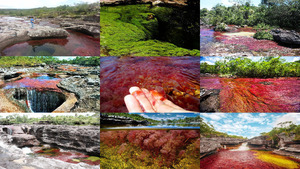 Tauchen Sie ein in die Cano Cristales