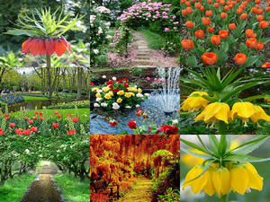 klicke hier, um die Datei herunterzuladen Beautiful - Garden