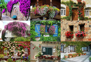 klicke hier, um die Datei herunterzuladen Viele Blumen