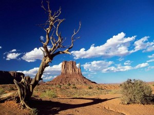 klicke hier, um die Datei herunterzuladen USA Nationalpark