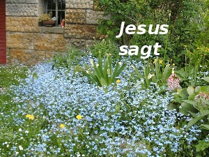 klicke hier, um die Datei herunterzuladen A270 Jesus sagt