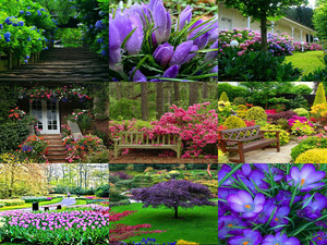 klicke hier, um die Datei herunterzuladen Beautiful-Gardens